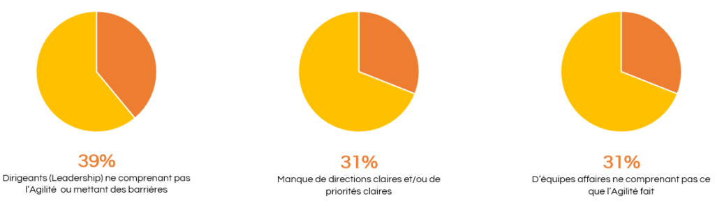 Les défis d’une adoption réussie